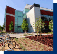 Beautiful modern building, trees, and bicycles